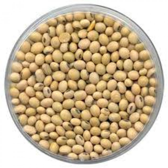 Soya Beans - 500g
